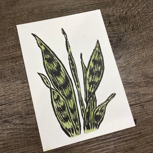 Watercolor Snake Plant Print