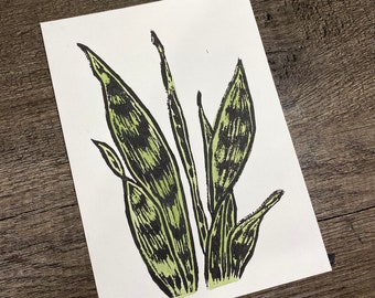 Aquarel Snake Plant Print