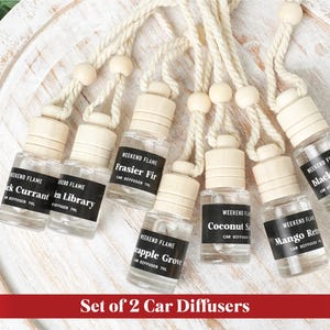 Car Diffuser Car Air Freshener Car Diffuser Hanging Car Freshener Hanging Car Diffuser Car New Car Gift Accessory Car Freshies Pick 2