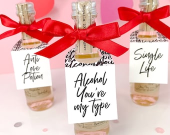 Mini etiquetas de licor divertidas para San Valentín: Fiesta de Galentine (juego de 12)