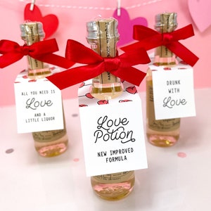 Valentine Day Gifts for Friends, Mini Casamigos Party Favors, Galentine&#39;s Party Ideas, Valentine Day Mini Liquor Party Favors, Shooter Tags