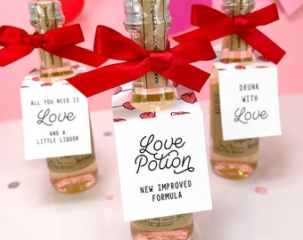 Adult Valentines Party Favors, Galentine Day Gifts, Valentine Day Gifts for Her (Set of 12) Love Potion VAL 09