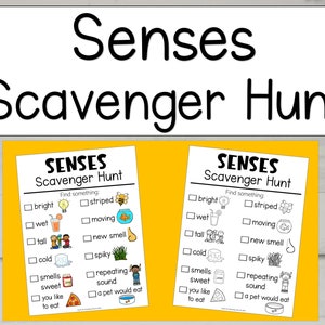 Búsqueda del tesoro de los sentidos, búsqueda del tesoro de los sentidos, búsqueda del tesoro para niños, búsqueda del tesoro de los cinco sentidos, búsqueda del tesoro para niños, DESCARGA DIGITAL