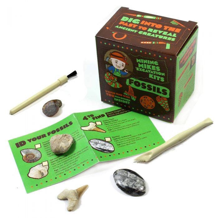 KIDS Crystal Mineral Fossil Mining Kit Crystal Growing Fun for Kids Childrens Activities STEM