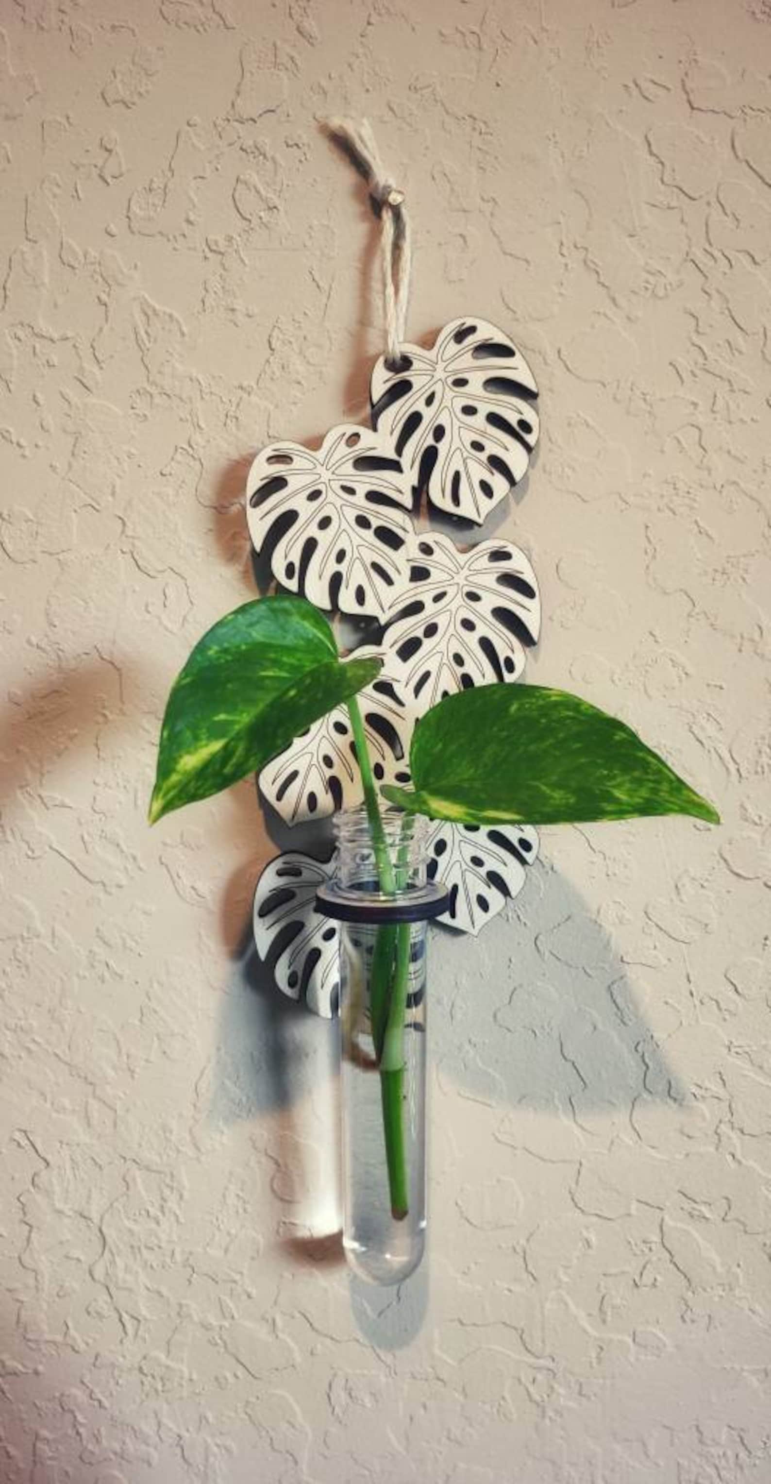 Wall Hanging Monstera Leaf Propagation Station for plants Etsy