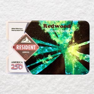May include: A Redwood National Park Resident Annual pass. The pass has a colorful design with green and blue accents. The pass also features the text "Redwood National Park", "Resident", and "America 250".