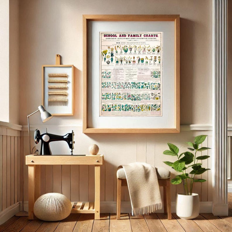 Old School Educational Poster Botany Classification of Plants Wall ...