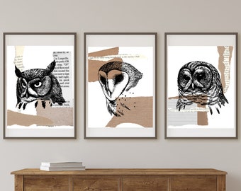 Three Owl Art, Vintage Owl Print, Vintage Printable, Library Art, Cozy Decor, Dark Academia Decor, Academia Aesthetic, Owl Wall Art