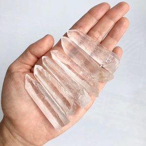 Könnte beinhalten: Eine Sammlung von acht klaren Quarzkristallspitzen, auch bekannt als Bergkristalle, die fächerförmig auf einer Hand angeordnet sind. Die Spitzen haben verschiedene Größen und Längen.