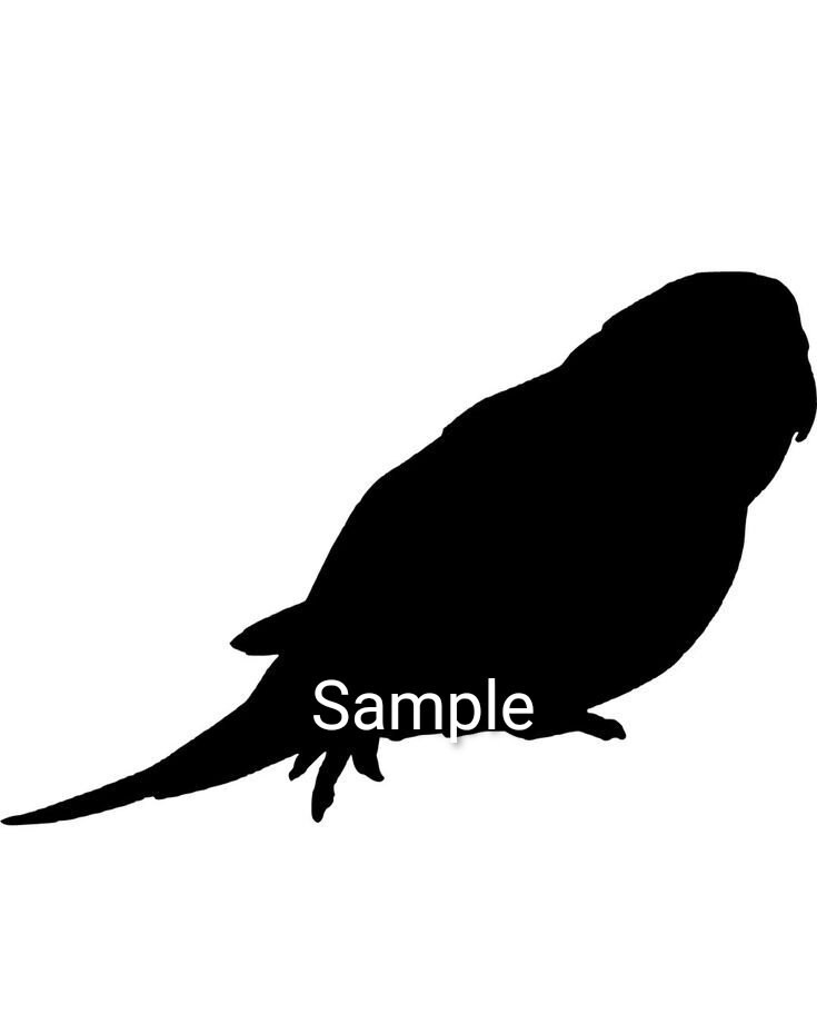 Budgie parakeet clipart silhouette svg jpg dxf and png | Etsy