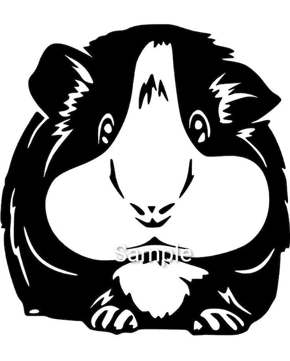 Guinea Pig Clipartsilhouette Svg Jpg Dxf and Png Files Etsy