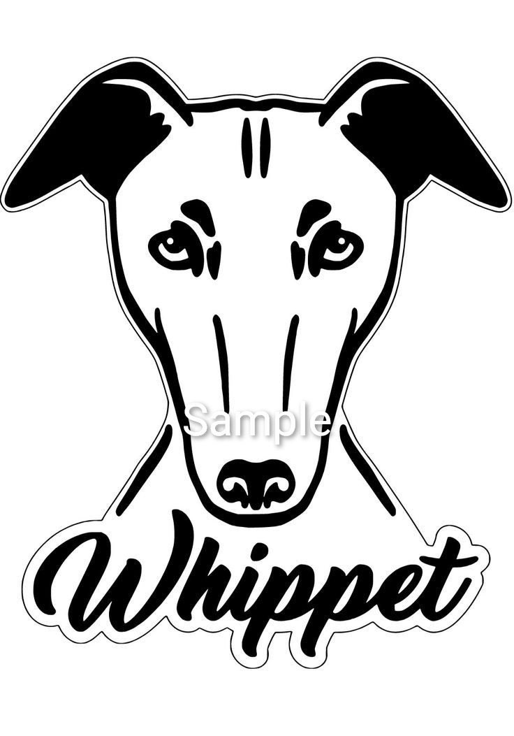 Whippet svg jpg dxf and png files digital INSTANT DOWNLOAD | Etsy
