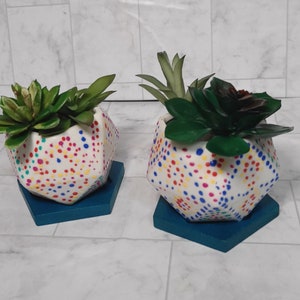 Flower pots set of 2 hand painted flowers not included.
