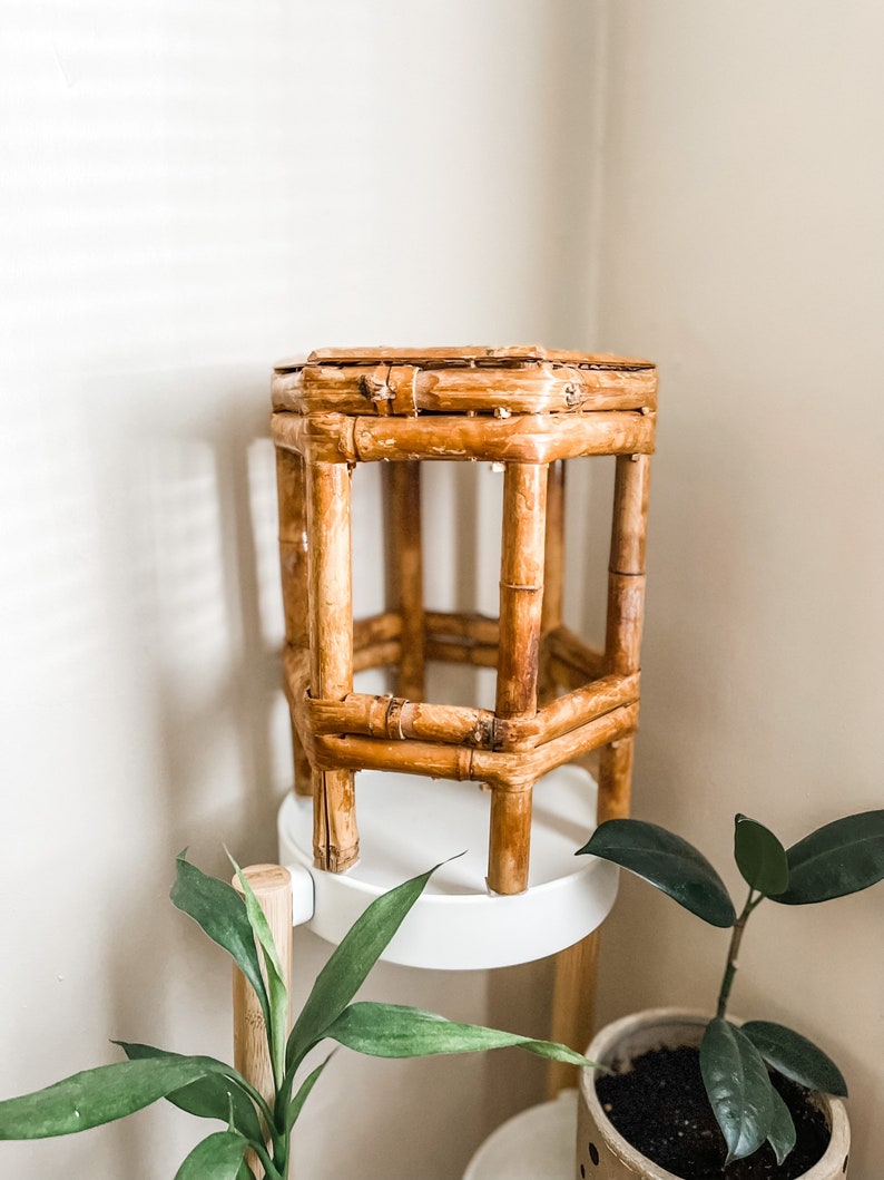 Vintage Rattan Plant Stand Home Decor - dral.regionlima.gob.pe