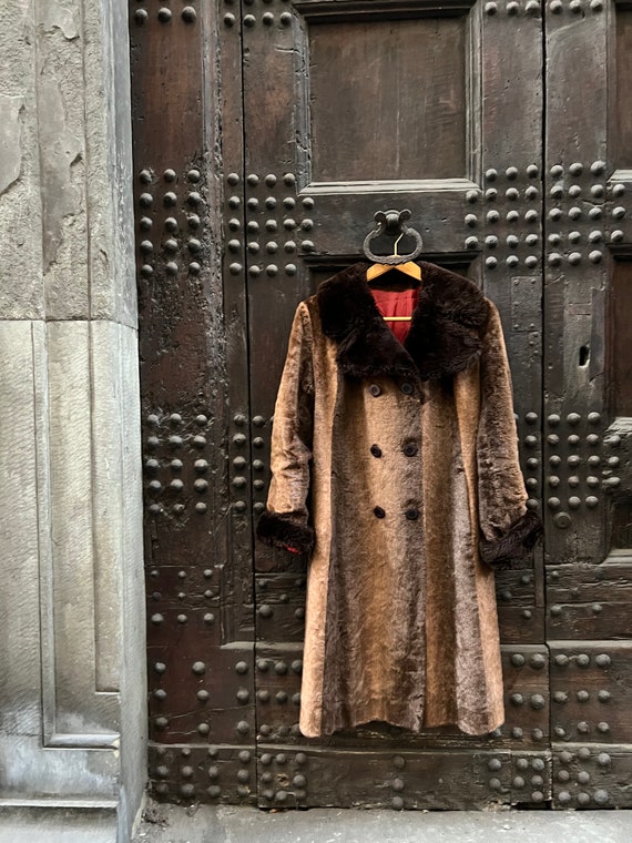 French Vintage Faux Fur Faux Shearling Collar Coat