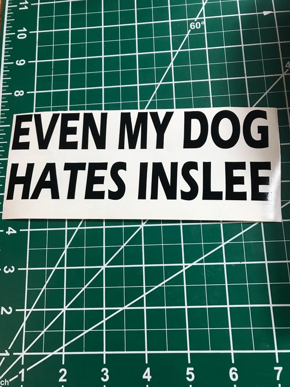 Why Does My Dog Hate The Car