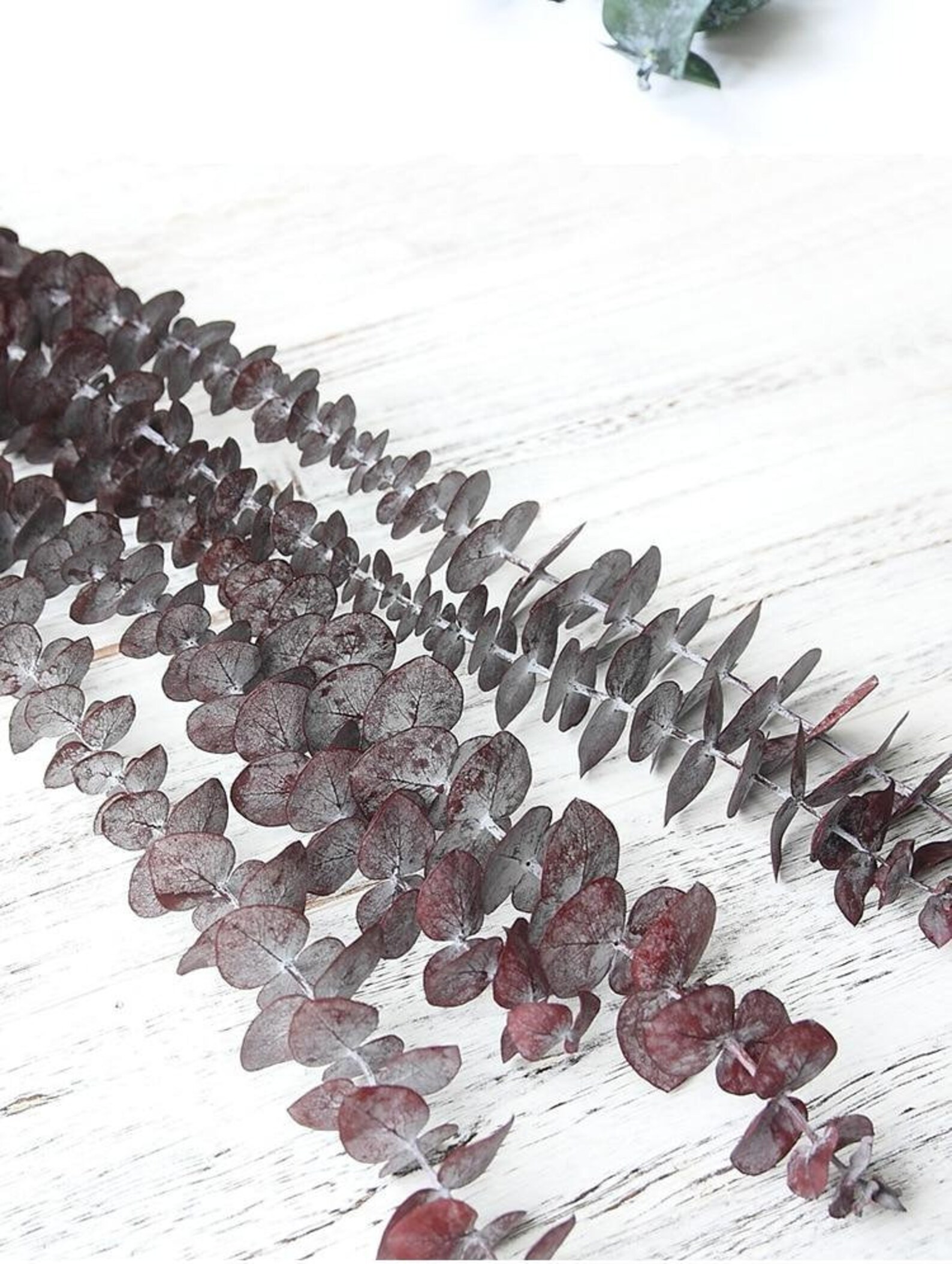 Real Dried Eucalyptus Branches Decor Etsy