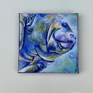 Mini Manatee in Mulberry