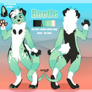 May include: Digital illustration of a green, white and black border collie-alien dog character named Beetle. The character has two gauges in its ears. The text "Border collie-alien dog" and "Male - He/him" is included in the image.