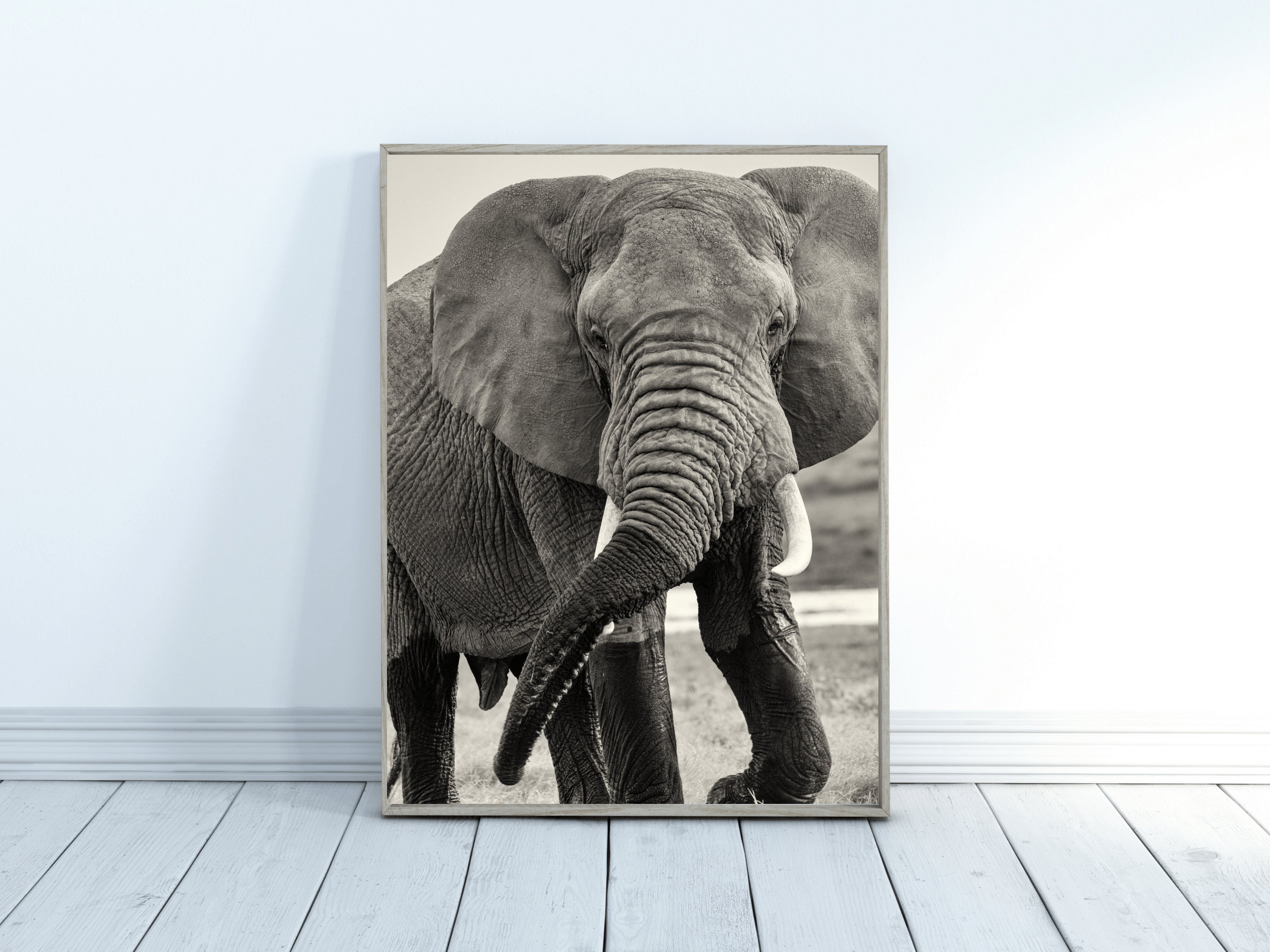 Elephant in the Wild Animal Wall art Elephant print Size Etsy