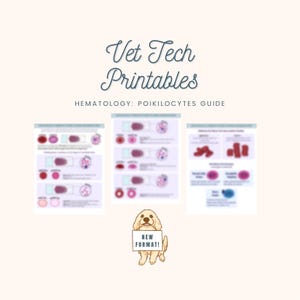 May include: A set of three educational printables titled Vet Tech Printables Hematology: Poikilocytes Guide, featuring diagrams of red blood cells. Below the documents is a cartoon illustration of a light brown dog holding a sign that says NEW FORMAT!