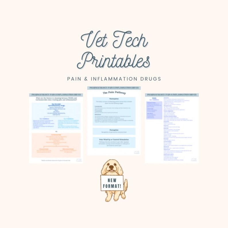 vet tech study guide vet tech study guide