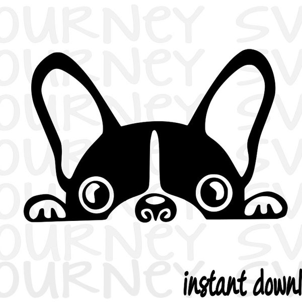 Boston Terrier SVG, Dog SVG