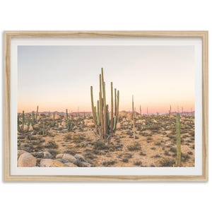Framed Desert Cactus Photography Print | Baja California Western Wall Art