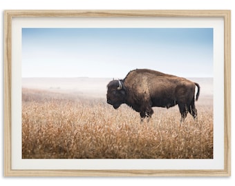 Fine Art American Bison Print - Landscape Nature Wildlife Mountain Buffalo Framed Fine Art Photography Home Wall Decor