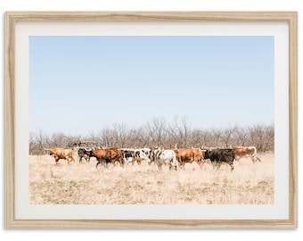 Framed Texas Longhorn Print | Western Fine Art Photography, Desert Decor