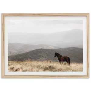 Fine Art Wild Horse Mountain Print - Vintage Landscape Nature Farm House Framed Photography Wall Decor