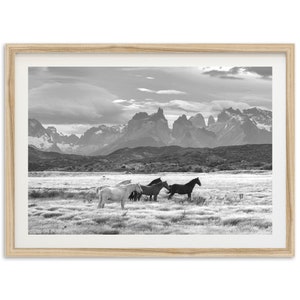 Fine Art Wild Horses Mountain Print Black and White Animal Nature Patagonia Framed Fine Art Photography Wall Decor image 1