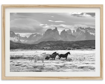 Fine Art Wild Horses Mountain Print - Black and White Animal Nature Patagonia Framed Fine Art Photography Wall Decor