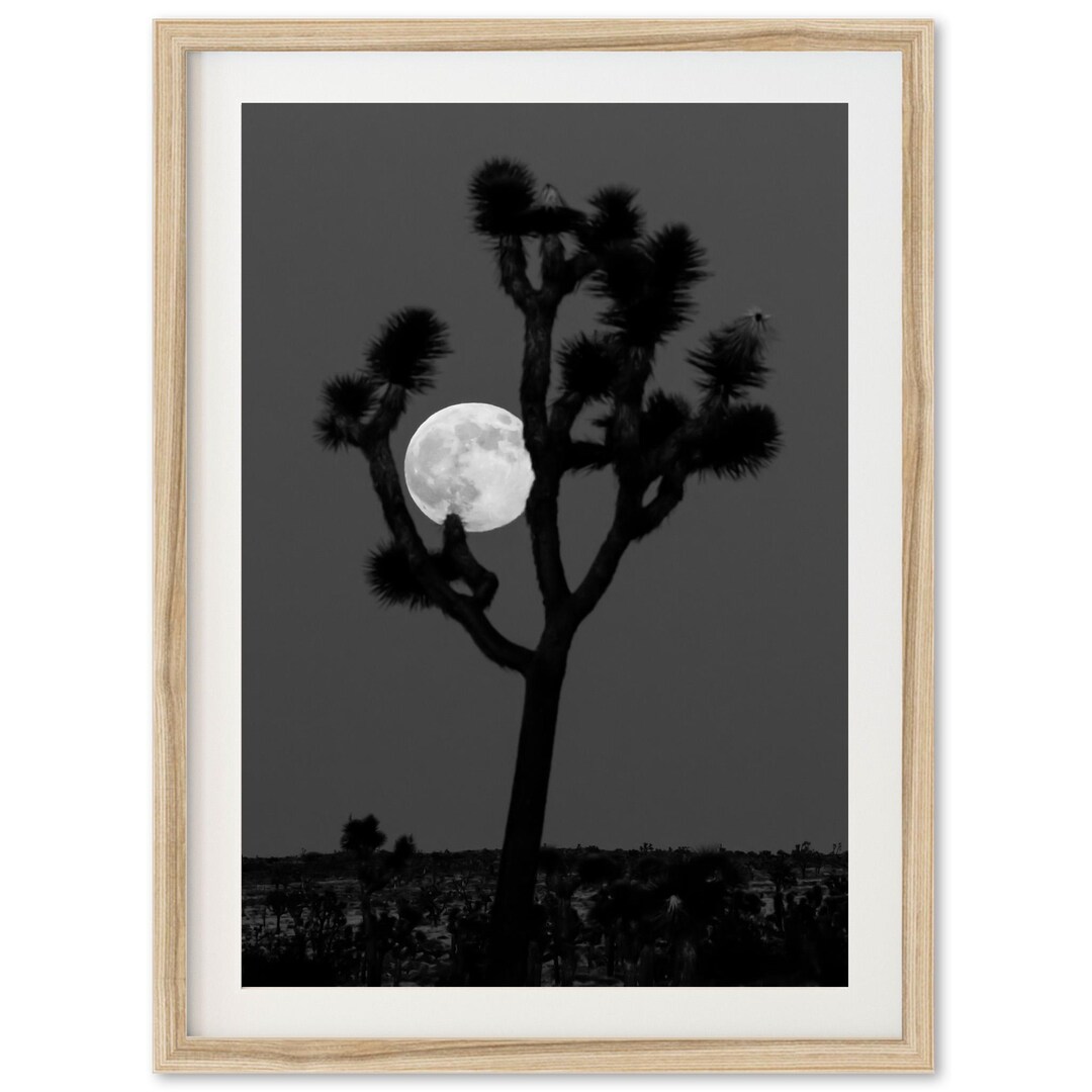 Framed Joshua Tree Moon Print | Desert Wall Art, Black and White ...