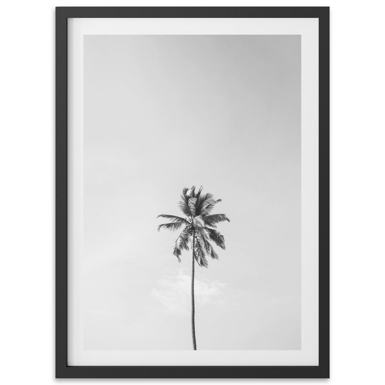 Bellas Artes Palmera Impresión en blanco y negro Minimalista Casa de Playa Océano Tropical Enmarcado Fotografía de Bellas Artes Decoración de la pared del hogar imagen 2