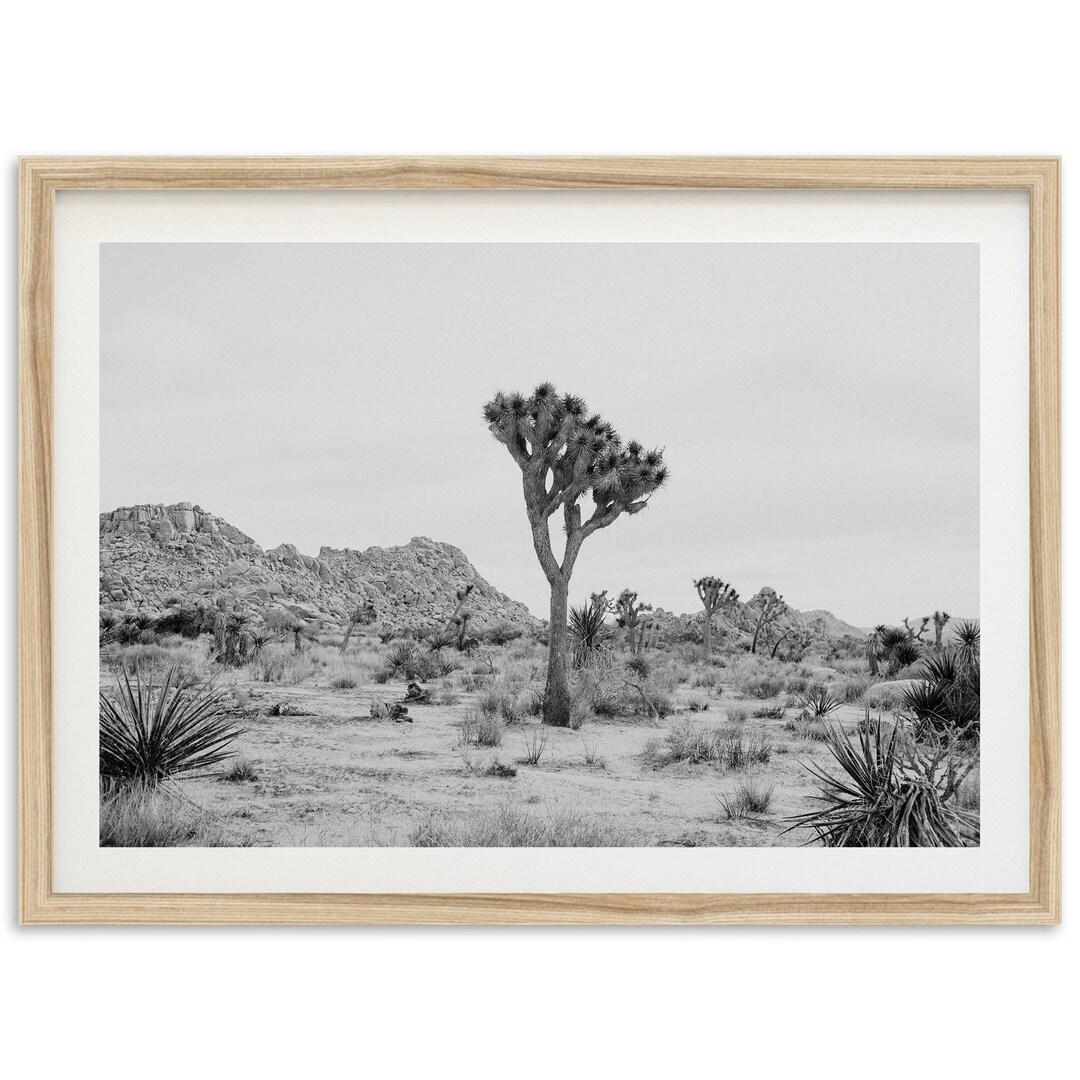Fine Art Joshua Tree California Print - Black and White National Park ...