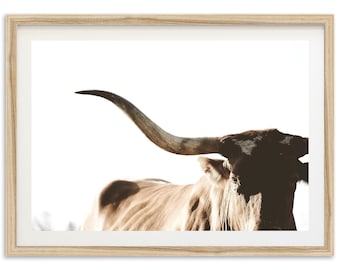 Framed Longhorn Cow Fine Art Print | Texas Farmhouse Western Wall Decor