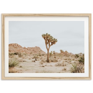 Fine Art Joshua Tree Photography Print - Landscape Desert Wall Art Framed Home Wall Decor