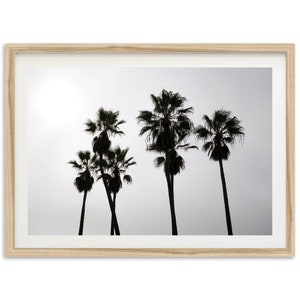 Fine Art Ocean Palm Tree Print - Black and White Beach House Framed Fine Art Photography Wall Decor