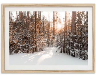 Framed Winter Forest Wall Art | Nature Photography Print, Fall Mountain Decor
