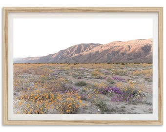 Framed Desert Wildflower Art | Anza Borrego Superbloom, California Landscape Photography Print
