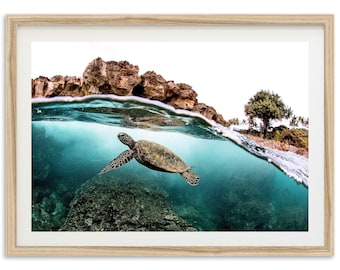 Framed Sea Turtle Fine Art Print | Hawaii Ocean Photography, Tropical Wildlife Wall Decor