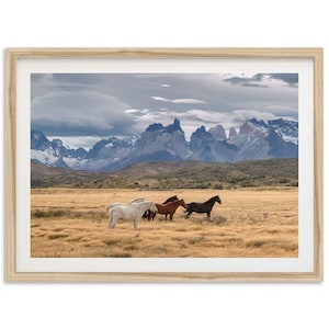 Framed Wild Horse Photography Print | Patagonia Mountain Decor, Western Wall Art