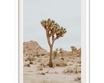 Fine Art Joshua Tree California Print - National Park Desert Landscape Portrait Framed Fine Art Photography Wall Decor