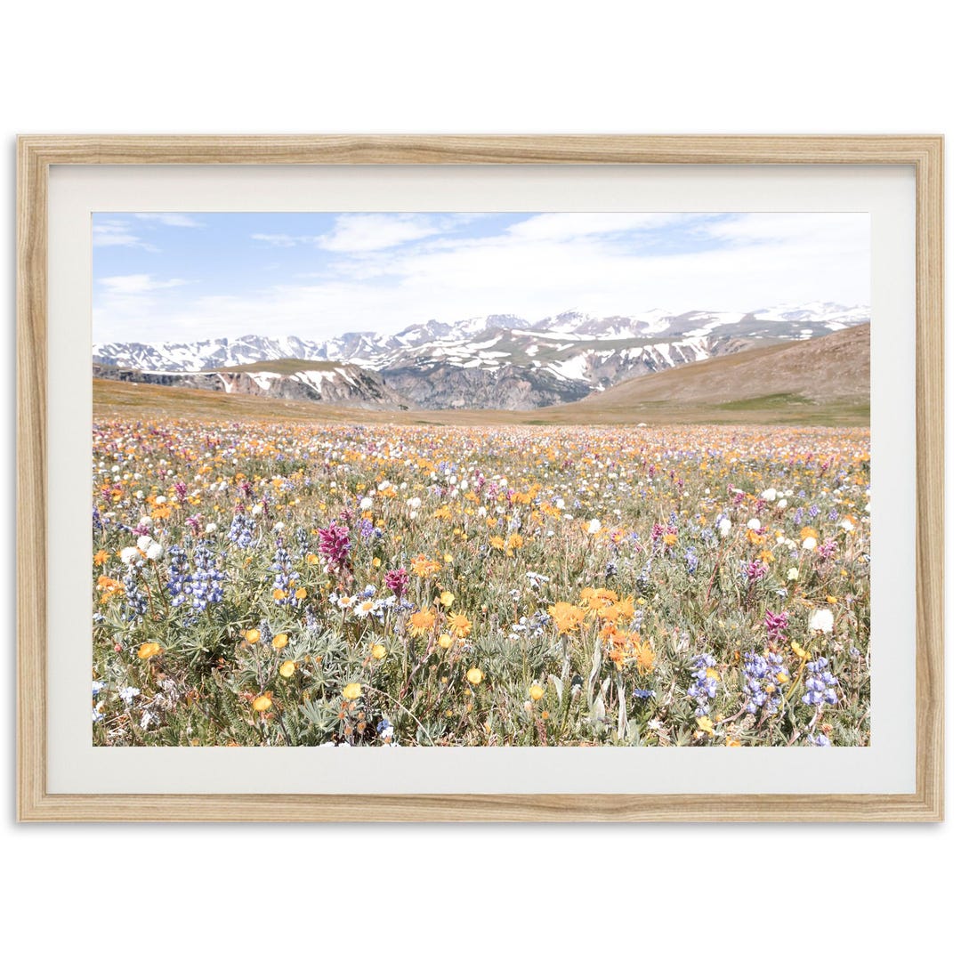 Framed Mountain Wildflower Print | Landscape Photography Wall Art ...