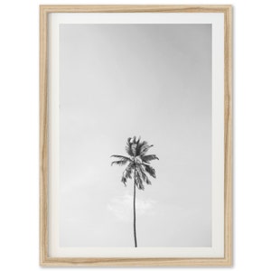 Bellas Artes Palmera Impresión en blanco y negro Minimalista Casa de Playa Océano Tropical Enmarcado Fotografía de Bellas Artes Decoración de la pared del hogar imagen 3