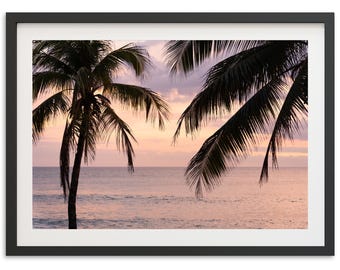 Framed Sunset Palm Tree Print | Coastal Ocean Photography Wall Art, Tropical Decor