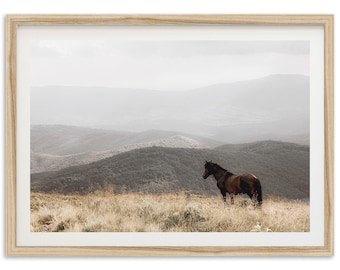 May include: Framed print featuring a brown horse standing on a grassy hill, with a backdrop of rolling, tree-covered mountains. The artwork is encased in a light-colored wooden frame, creating a serene, natural aesthetic.