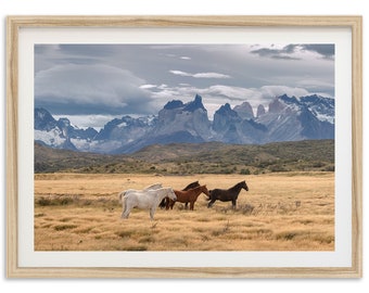 Fine Art Wild Horses Print - Mountain Wildlife Patagonia Framed Photography Home Wall Decor