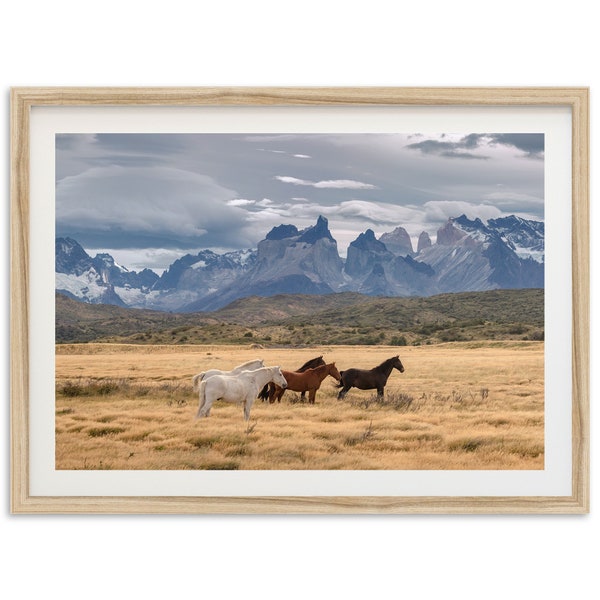 Fine Art Wild Horses Print - Mountain Wildlife Patagonia Framed Photography Home Wall Decor